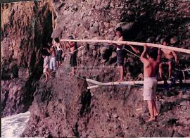 Warga memasukkan bambu panjang menuju gua sarang burung lawet
