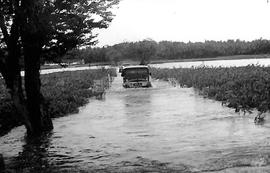 Terlihat mobil jeep berusaha menyeberangi banjir yang sudah setinggi pinggang orang dewasa