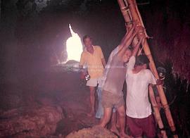 Warga bergotong royong mendirikan tangga bambu untuk mengunduh sarang burung lawet